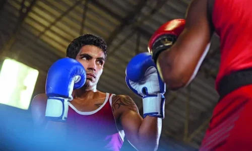 imgi_26_fE8ykXcV-boxing_toad-1-r8pzed3rbz404ymztf3ylrnn3mqhw7t28k9qriv2rc